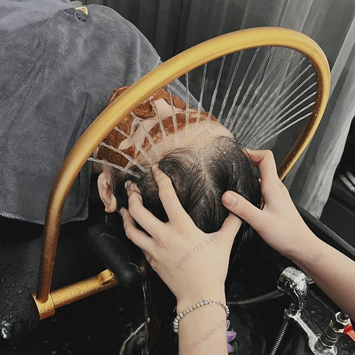 bo-vom-tuan-hoan-nuoc-duong-sinh